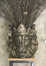 lion (2)