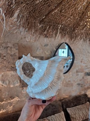 Pichet coquillage en grès